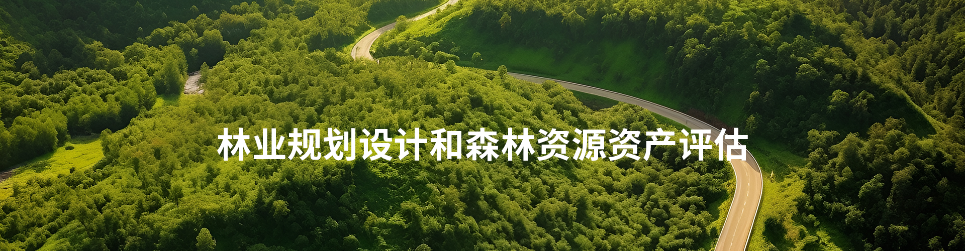 进行林业资产评估的目的作用